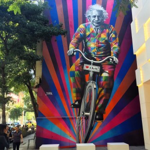 Einstein riding