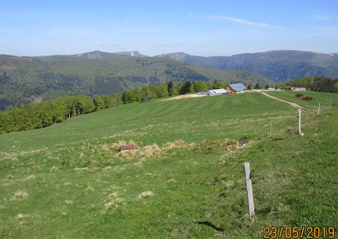 10h48 - Avant le Platzerwasel....belle vue sur les Crêtes Vosgiennes